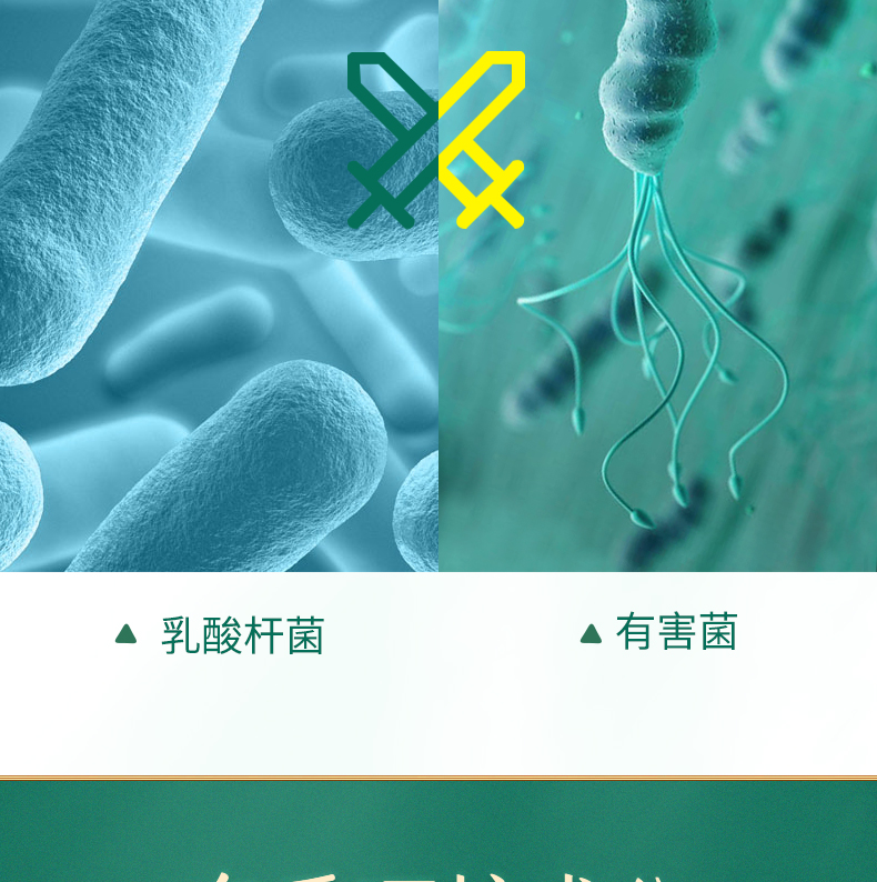 草珊瑚小苏打HP抗门螺物华天宝国风牙膏